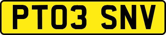 PT03SNV