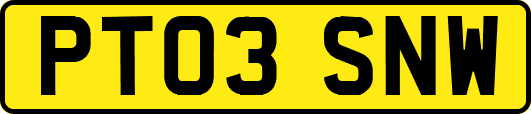 PT03SNW