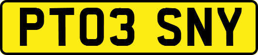 PT03SNY