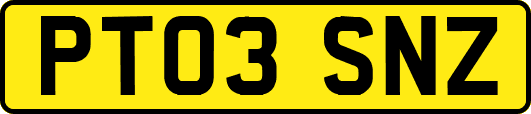 PT03SNZ