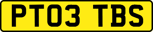 PT03TBS
