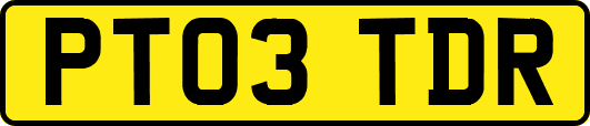 PT03TDR