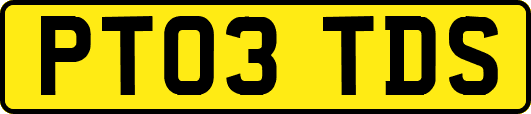 PT03TDS