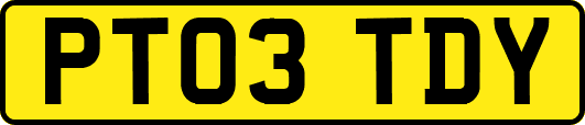 PT03TDY