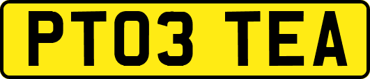 PT03TEA