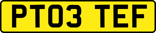 PT03TEF