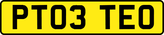 PT03TEO