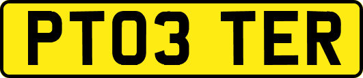 PT03TER