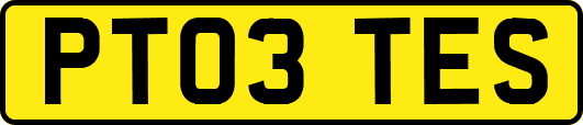 PT03TES