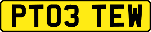 PT03TEW