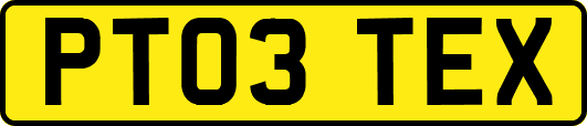 PT03TEX
