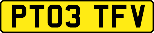 PT03TFV