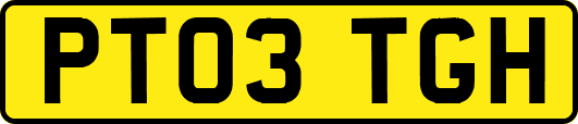 PT03TGH