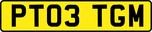 PT03TGM