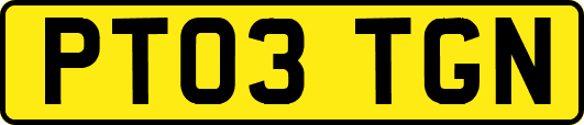 PT03TGN