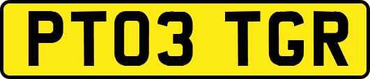 PT03TGR