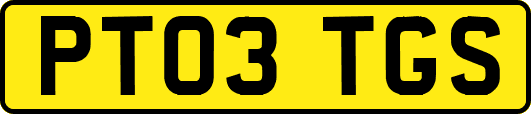 PT03TGS