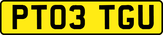 PT03TGU