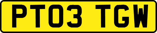PT03TGW