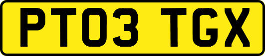 PT03TGX