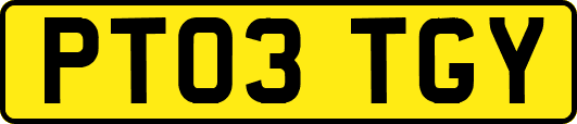 PT03TGY