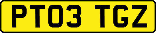 PT03TGZ