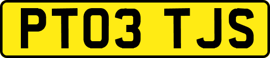 PT03TJS