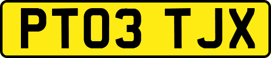 PT03TJX