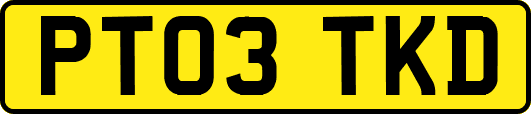 PT03TKD