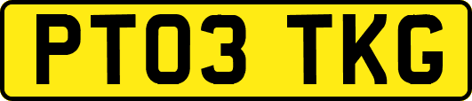 PT03TKG