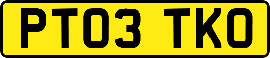 PT03TKO
