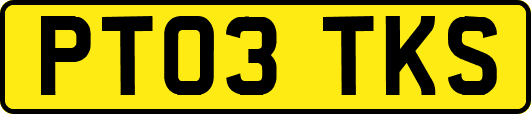 PT03TKS