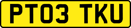 PT03TKU