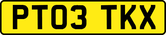 PT03TKX