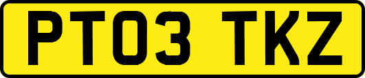 PT03TKZ