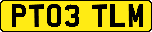 PT03TLM