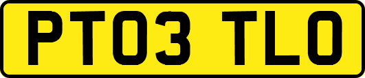 PT03TLO
