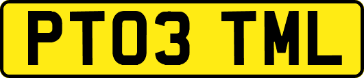 PT03TML