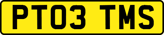 PT03TMS