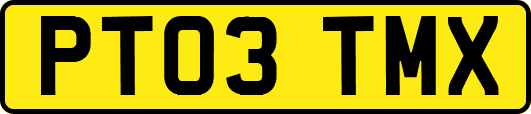 PT03TMX