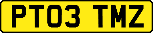 PT03TMZ