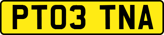 PT03TNA