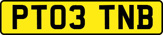 PT03TNB