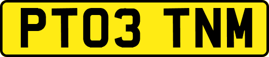 PT03TNM