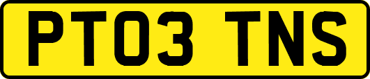 PT03TNS