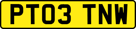 PT03TNW