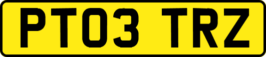 PT03TRZ
