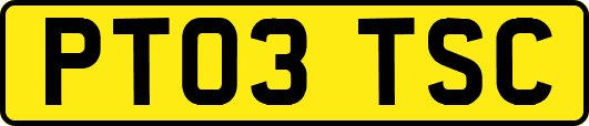 PT03TSC