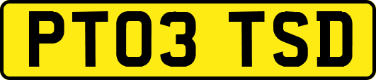 PT03TSD