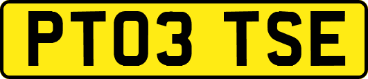 PT03TSE